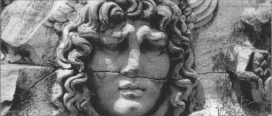 Medusa head 